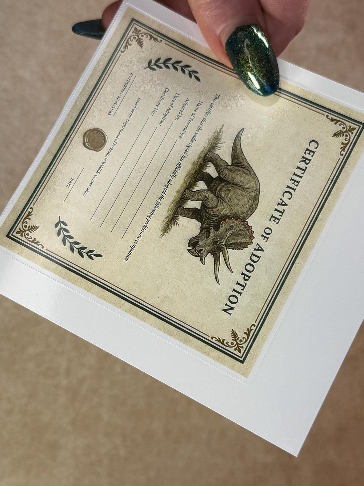 Triceratops Dinosaur Adoption Kit! Sticker Set!