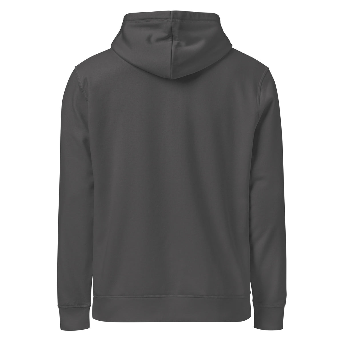 Back view of the dark gray I Adopted a Velociraptor hoodie, plain with no print, on a plain background