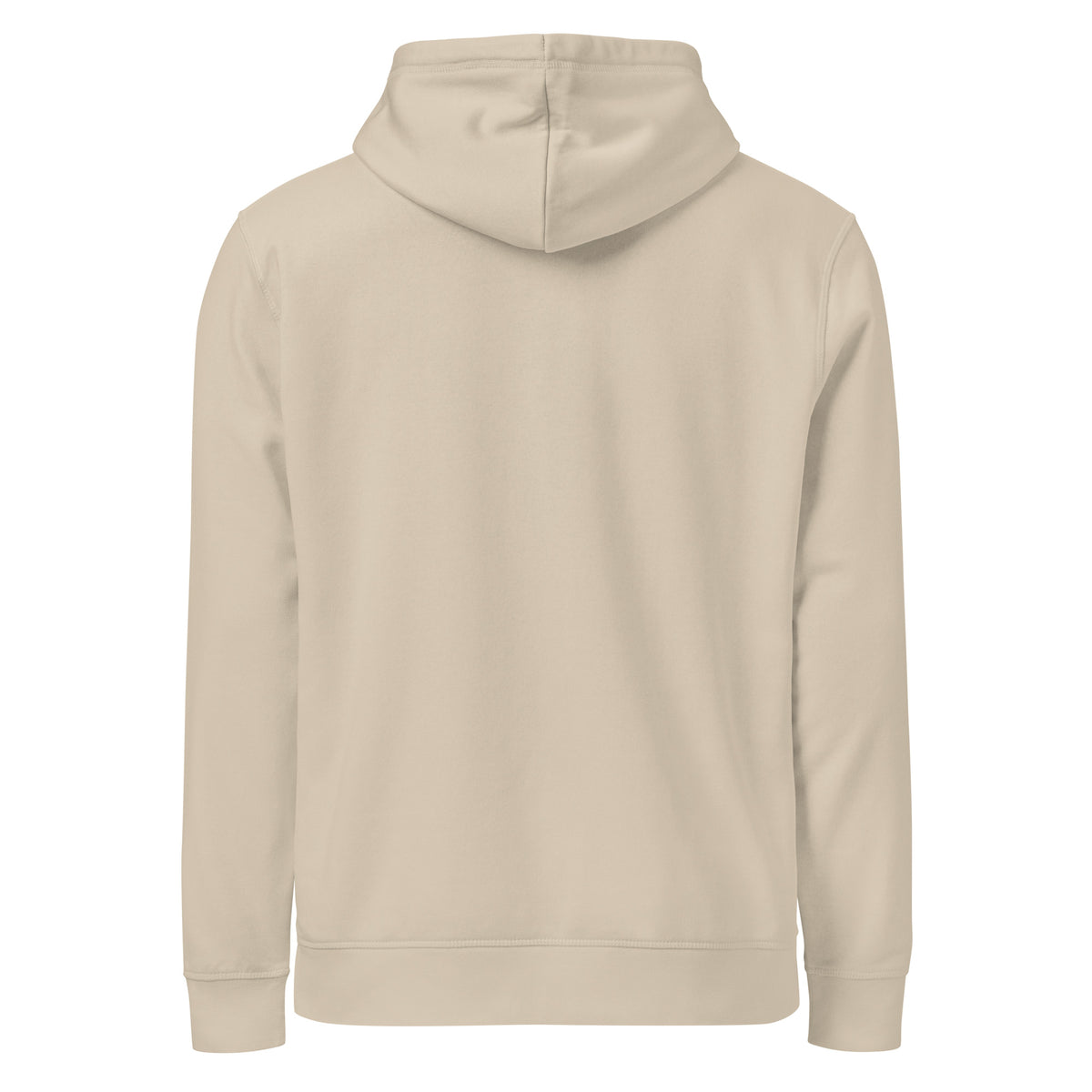 Back view of the sand I Adopted a Velociraptor hoodie, plain with no print, on a plain background