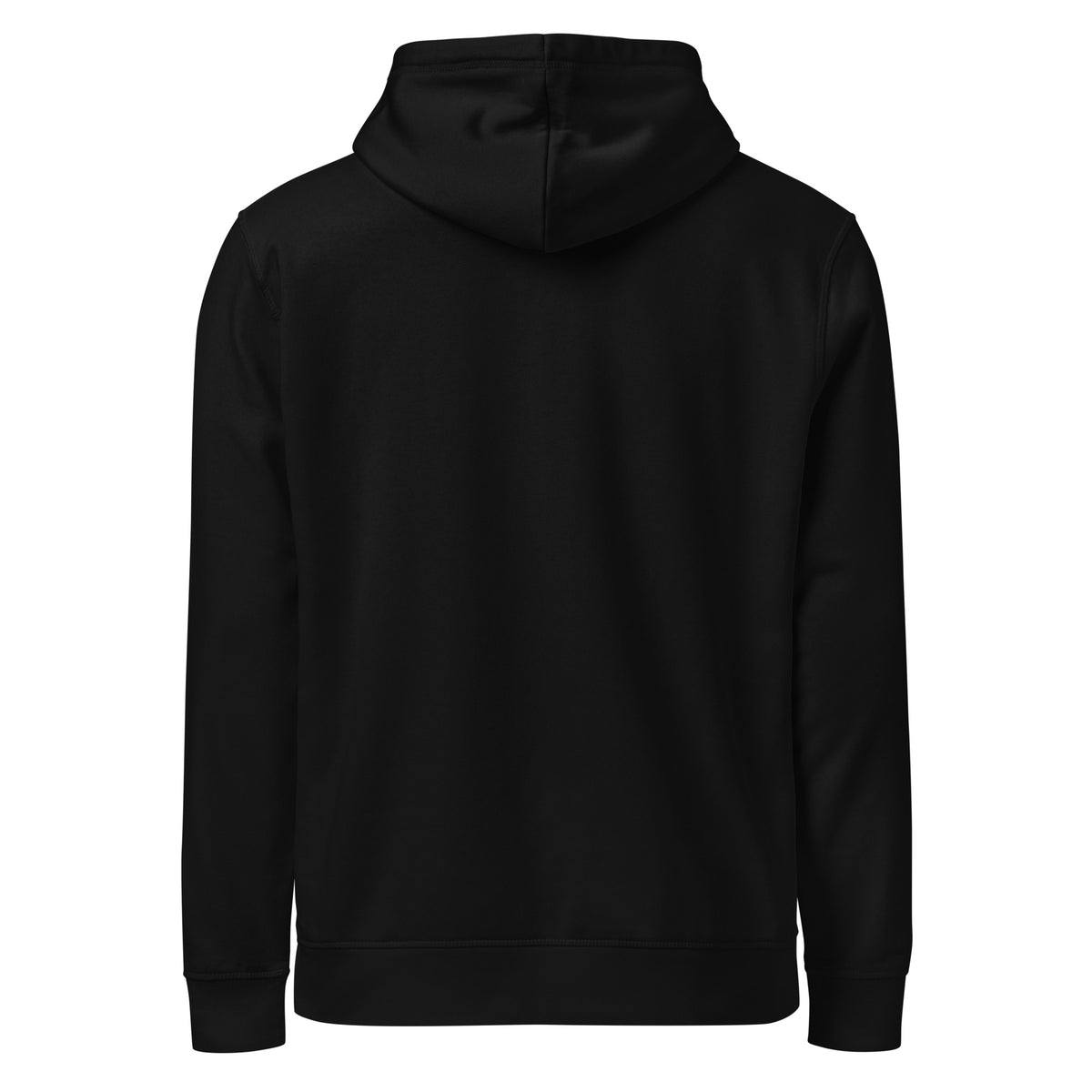 Back view of the black I Adopted a Velociraptor hoodie, plain with no print, on a plain background