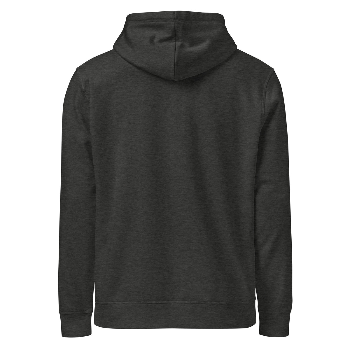 Back view of the charcoal heather I Adopted a Velociraptor hoodie, plain with no print, on a plain background
